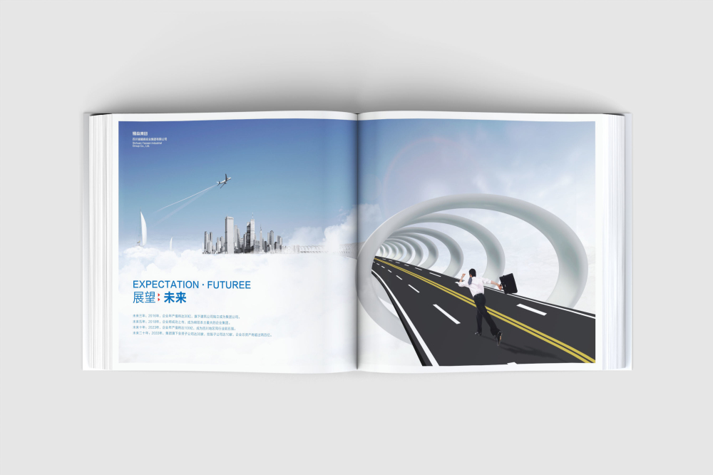 青冈县画册设计